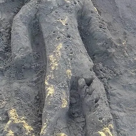 Smell Sea * Paralía