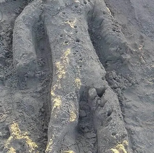 Smell Sea * Paralía